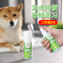 Dog toilet inducer Dog defecation positioning defecation training toilet liquid Pet poop inducer Dog supplies