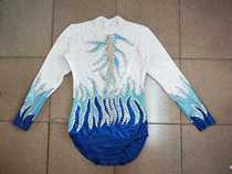 Arts and Beauty Professional Custom Competitive Fitness Aerobatics Competition Fitness Test Suit Plus Bright Sheet Competitive Bodybuilding Bodysuit