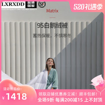 LXRXDD goose down by 95 white down quilted by a single person Thickened Space Quilt Five Star Hotel