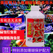 New American two small fish coral quarantine insect water SPS sea tank in addition to flat insects water red insects sea spider
