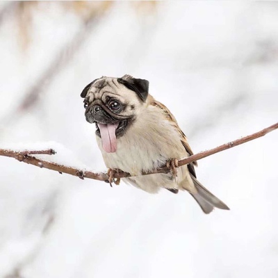 首先当时你看到这条评论时，表示我对这个产品是认可的。后面的话都是没有用的话，如果不认可，我就不会粘贴复制这条评论了。但是我不知道该怎么去凑字数。后来才知道发评论的重要性、晒图的重要性、晒视频的重要性。评论还必须要超过100字数才有用，才能得到积分。原谅我的懒惰。