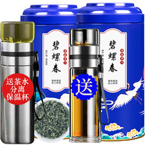 2021 new tea special pre-Ming Biluochun tender green tea tea spring tea Maojian scattered bag canned 500g