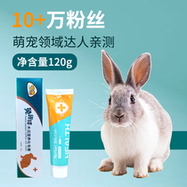 Rabbit Bean Rabbit Fun Ball Rabbit Hair Ointment Hair Ball Pet Dutch Pig Toro Hamster Rabbit Special Nutritional Cream