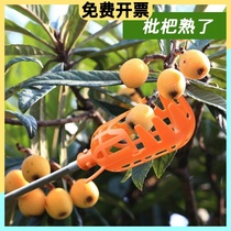High Altitude Removed Fruit Theorizer Telescopic Pole Off Fruits Theorizer Picking Mango Cherry Poplar Plum Loquat Fruit Lychee Dragon Eye