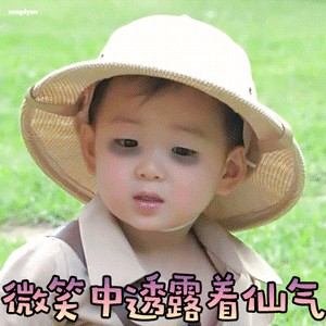 红硕R15手机保护套/壳