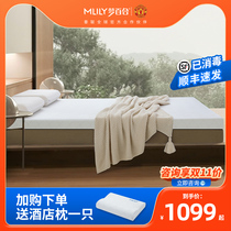 Dream Lily Hotel Zero-pressure Room Memory Cotton 0 Thin Mattat Tatami Japanese Multipurpose Sponge Soft Bedding