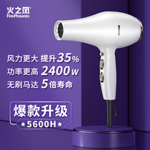 Fire Feng hair dryer high-power quick-drying negative ion blower for hair salon hair salon hair salon