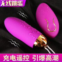 Wireless Mute Remote Control Egg Womens Orgasm Underwear Small Bed Excitatory Appliances Strong Earthquake Thong