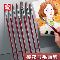 Japanese cherry bloom horse mane furry pen for artworks VISUAL single watercolor brush round head watercolor pen flat head horse furry powder painting pen propylene paint long pole hair pen Chinese painting tool