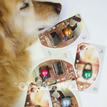 Night dog walking light New outdoor equipment Kirstin pet dog flash replaceable battery waterproof battery life