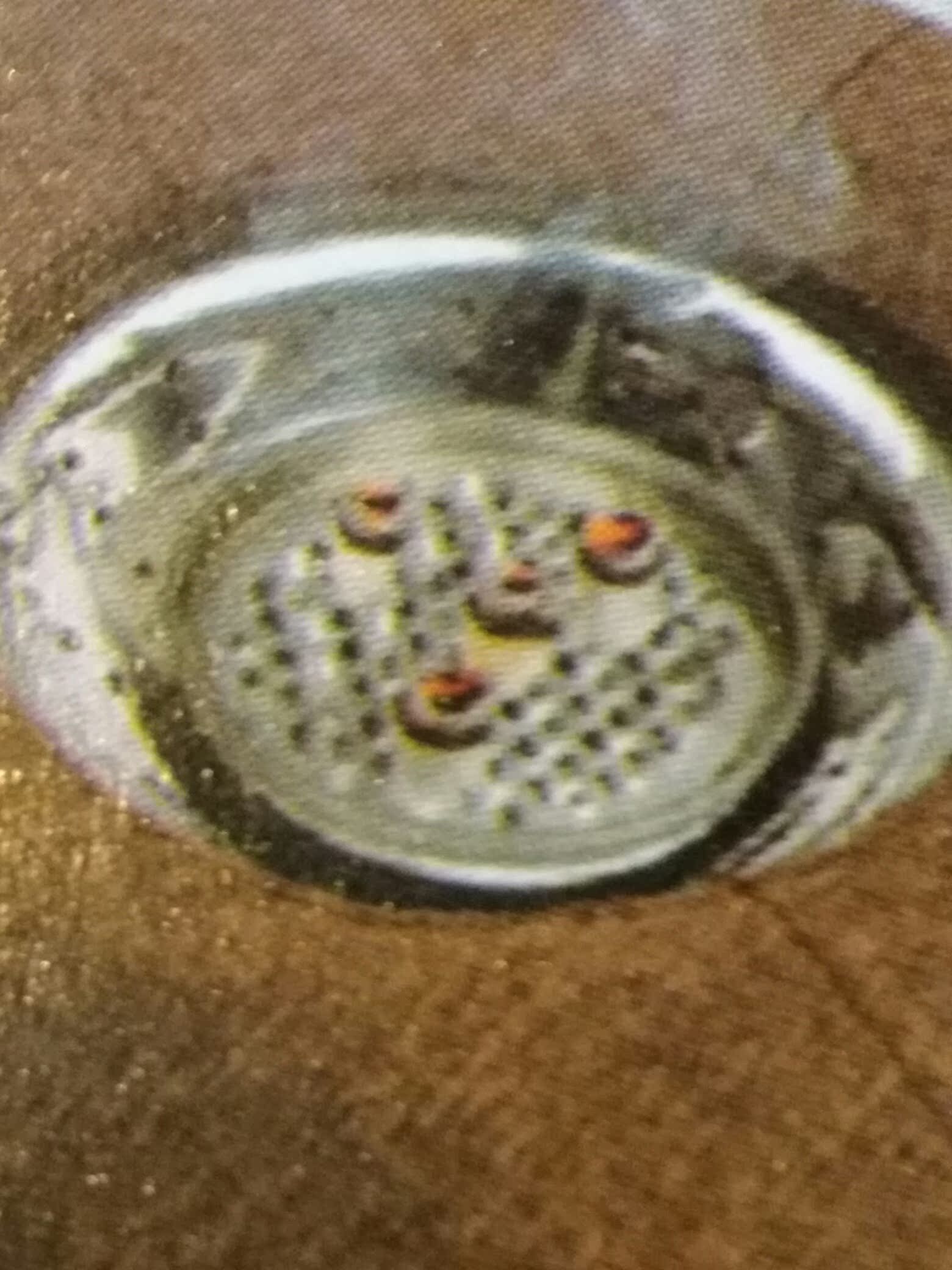 绿莹ACX艾灸/艾条/艾柱/温灸器