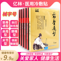 Yilin bruises joint type shoulder bone neck shoulder waist and legs lumbar type medical Cold application DP