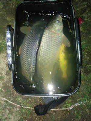 目前看来中逵大鲨鱼二代鱼竿怎么样，质量会不会很差？超轻吗？