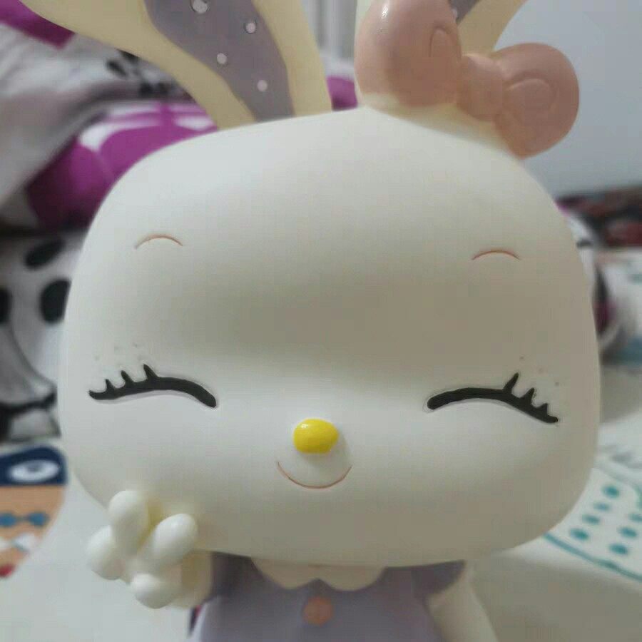 这个是给小侄女买的,小兔兔白白的很可爱,侄女很喜