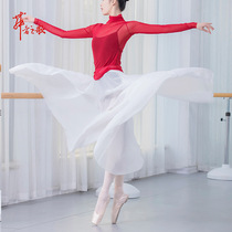 Classical dance dress dress womens half-length skirt A- line dress modern dance chiffon skirt perspective dance practice dress