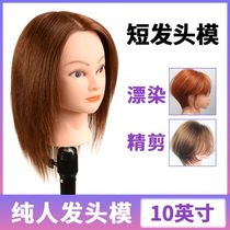 Full real hair headform can be hot rolled dummy head model head real hair hair headform apprentice hands can be hot dyed and blown modeling
