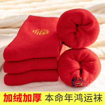 Plus velvet thick red socks Womens Year cotton socks step on the little people winter warm towels stockings mens year of the Ox