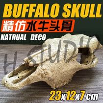 Simulation Buffalo Crocodile Skull Skull Skull-made Tortoise Lizard Lizard Lizard Reptile of Tropical Rainforest Desert Emulation Bone