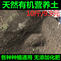Flower soil black soil planting soil humus soil grass charcoal soil organic nutrient soil fleshy soil organic soil vegetable soil