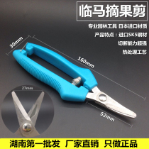 Price Linma Pruning shears Gardening scissors Pruning branches cutting branches picking cutters Garden tools Coarse branches flowers and trees