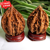 Yunnans new wild autumn dumplings play walnut lion head star lantern hat tiger head