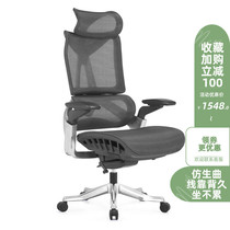 Ergonomic computer chair Simple modern office full net breathable chair Low back separation sedentary comfortable big chair