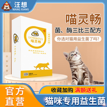 Meow wants to be able to meow and be able to be a good young cat and its a common probiotic gastrointestinal treasure for young kittens.