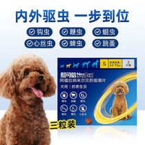 NexGard ultra-credible in vitro and in vivo small dog anthelmintics to the flea ear mites heartworm whole box