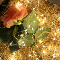 Christmas decoration light Net red color light Battery string light Copper wire light led copper wire light Gift box bouquet mini string light
