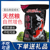 Qicai koi feed fish food fish food breeding fattening fish feed goldfish feed small particles 5 kg household