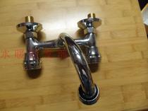 Kitchen double horizontal wall outlet tank Stainless steel double basin pool all-copper double handle shower faucet Haolida