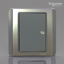 Schneider Electric E3000 series with fluorescent single single open dual control switch gray Silver