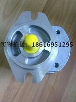 P206208211216220228230RPLP01DT high pressure gear pump quality three packs