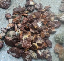 Ningqiang coral Jade fossil tonnage curl fine material tubular coral paleontological fossil Lily large Congyou W