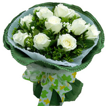 Shanghai Flower Express Birthday Booking Shanghai Flower Shop Online Send Flowers White Rose 11 Bouquet