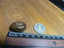 10272 Small debris on the surface of Hami Xinjiang