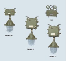 Shanghai Huarong Technology Anti-explosion Lamp Anti-explosion Double Head Emergency Lamp BAJ52 Actual Product Price to prevail