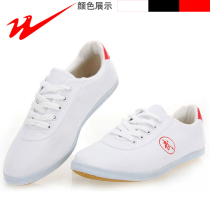 Twin Star Tai Chi Shoes Canvas Martial Arts Shoes Male Taijiquan Style Shoes Soft Bottom Tai Chi Shoes Women Practicing Qigong Cloth Shoes