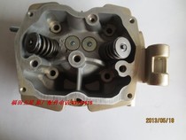 Futian Five Star LEVO Tricycle Original Factory Water Cooled 197 Cylinder Head