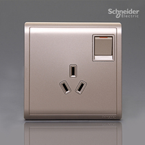 Schneider Fonts Drunk Golden Three Hole Switch Socket E8215_10s_WG Schneider Switch Socket