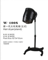 Dongtian Yang hair instrument promotion perm hair tools A new generation of large hair dryer hair dryer W100S