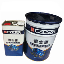 Caesar Lacquer Epoxy Terrace Lacquered Cement Terrace Lacquer 20kg Group