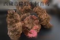 Tibet wild fresh Polygonum multiflorum red multiflorum