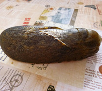 Jade Jian Xinjiang Hetian Jade seed material Gold cicada handle tens of thousands of old seed material collection level Bao original skin seed