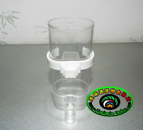 Wrens automatic Drinking water Drinking water Drinking water dispenser Parrot automatic Drinking water dispenser Large number of water Drinking water dispenser convenient hygiene