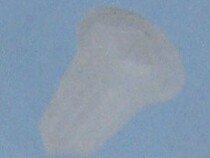 Jiefang Fast wire seat buckle clip