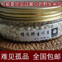 Fritillary home solo direct sales Mibei wild Chuanbei pine shell rice Chuanbei mother Chinese herbal medicine 30g