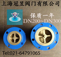 Shanghai Guanyu valve anechoic copper core check valve HC41X-16 DN200 DN250 DN300