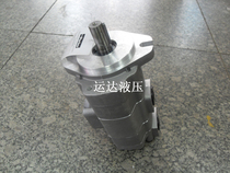 Hydraulic double gear pump oil pump G5-20-20-AE13R G5-16-12-1E13S-20R