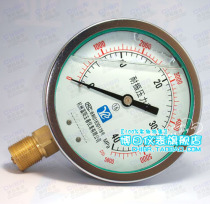YN-100 shock pressure gauge (0-40MPA) Hangzhou production YTN-100 anti-vibration and vibration-resistant oil pressure pressure gauge